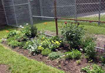 Gardenmax-ri-doc